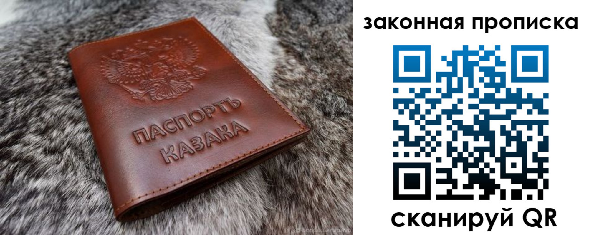 прописка в Белёве